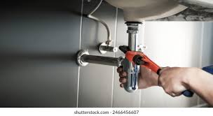 Best Green Plumbing Solutions and Water Conservation  in South Elgin, IL